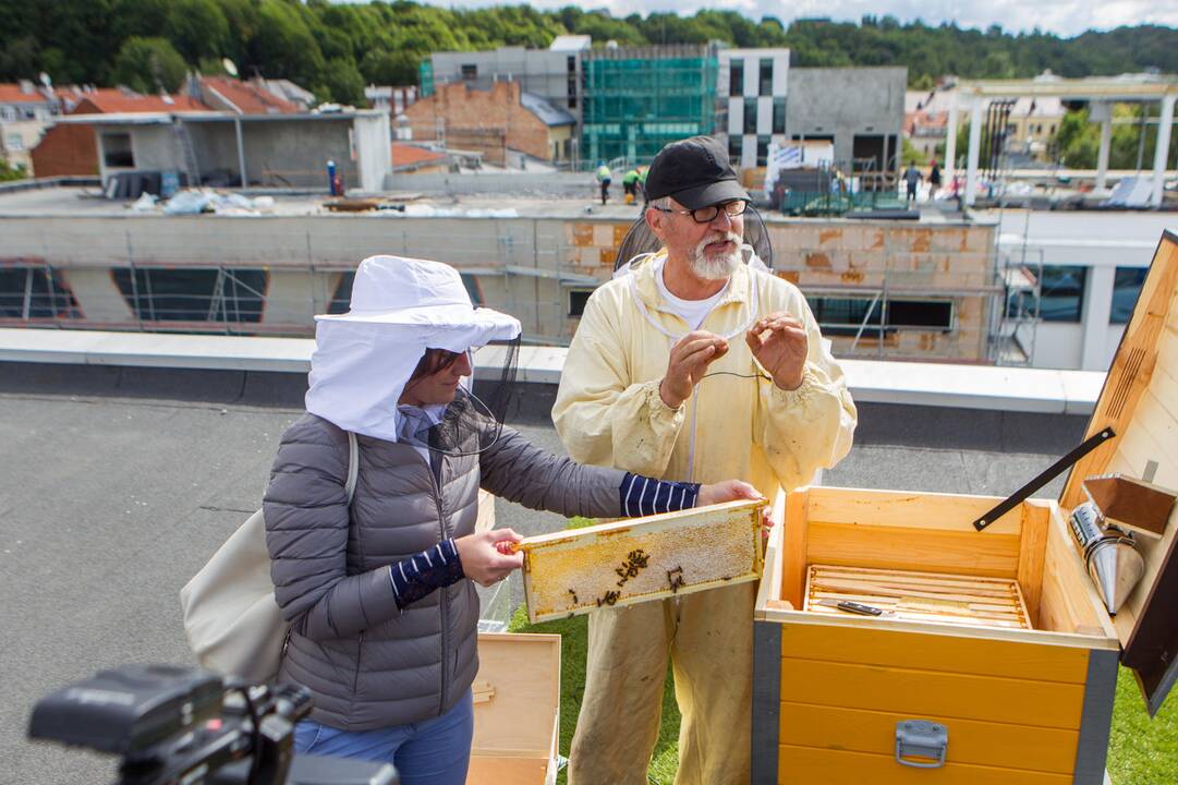 Pirmojo miesto medaus išėmimas