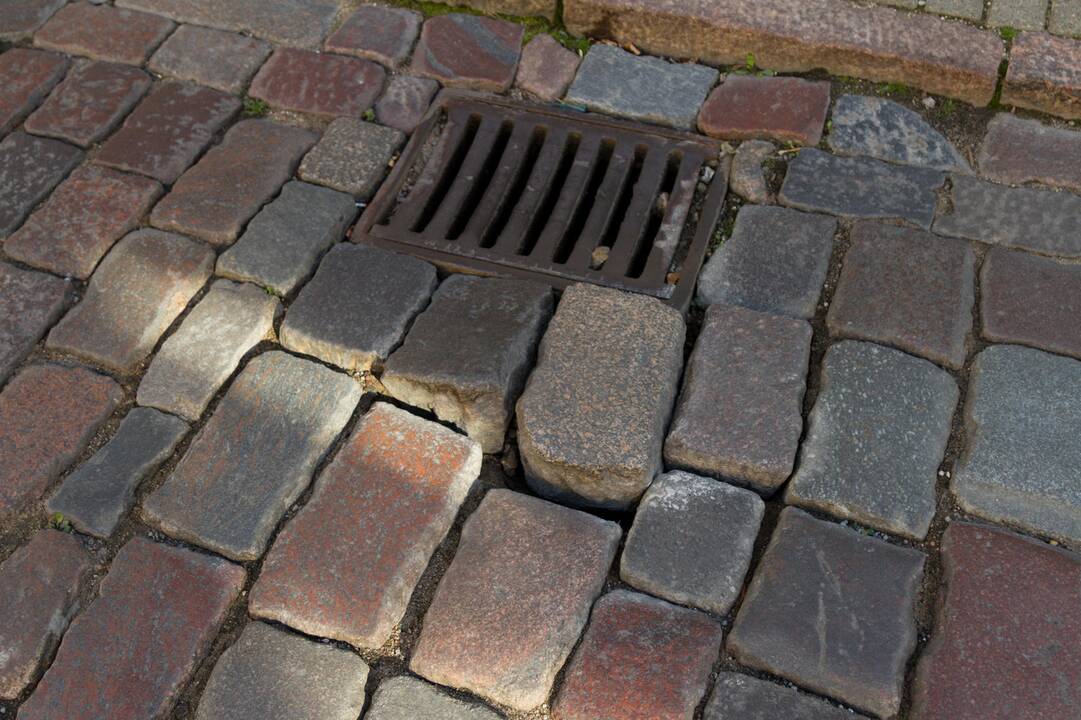 Iškleręs M. Daukšos gatvės grindinys