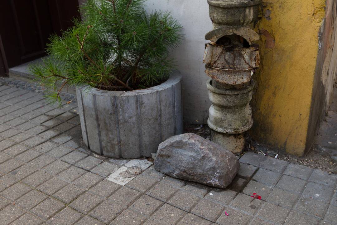Iškleręs M. Daukšos gatvės grindinys
