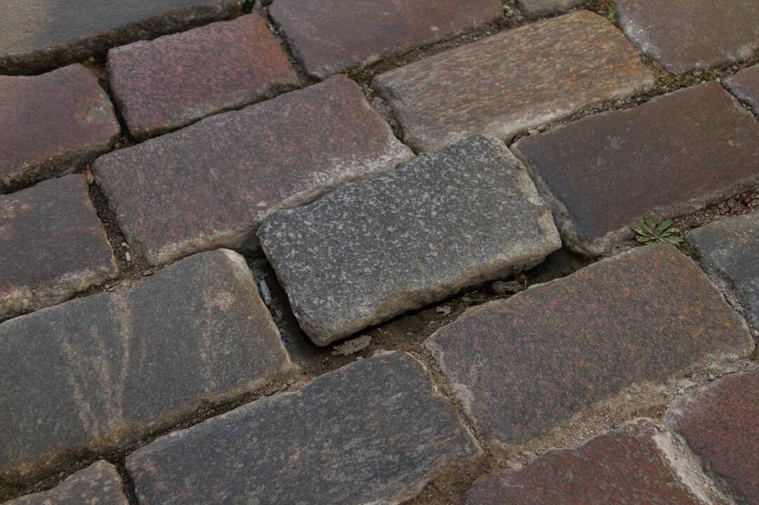 Iškleręs M. Daukšos gatvės grindinys