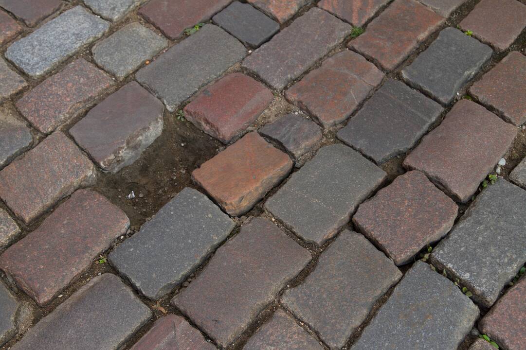 Iškleręs M. Daukšos gatvės grindinys