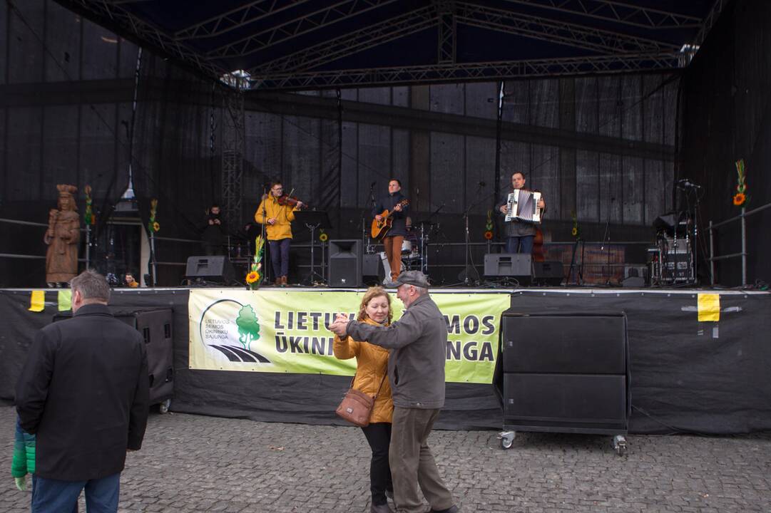 Kaziuko mugė Kaune (2019)