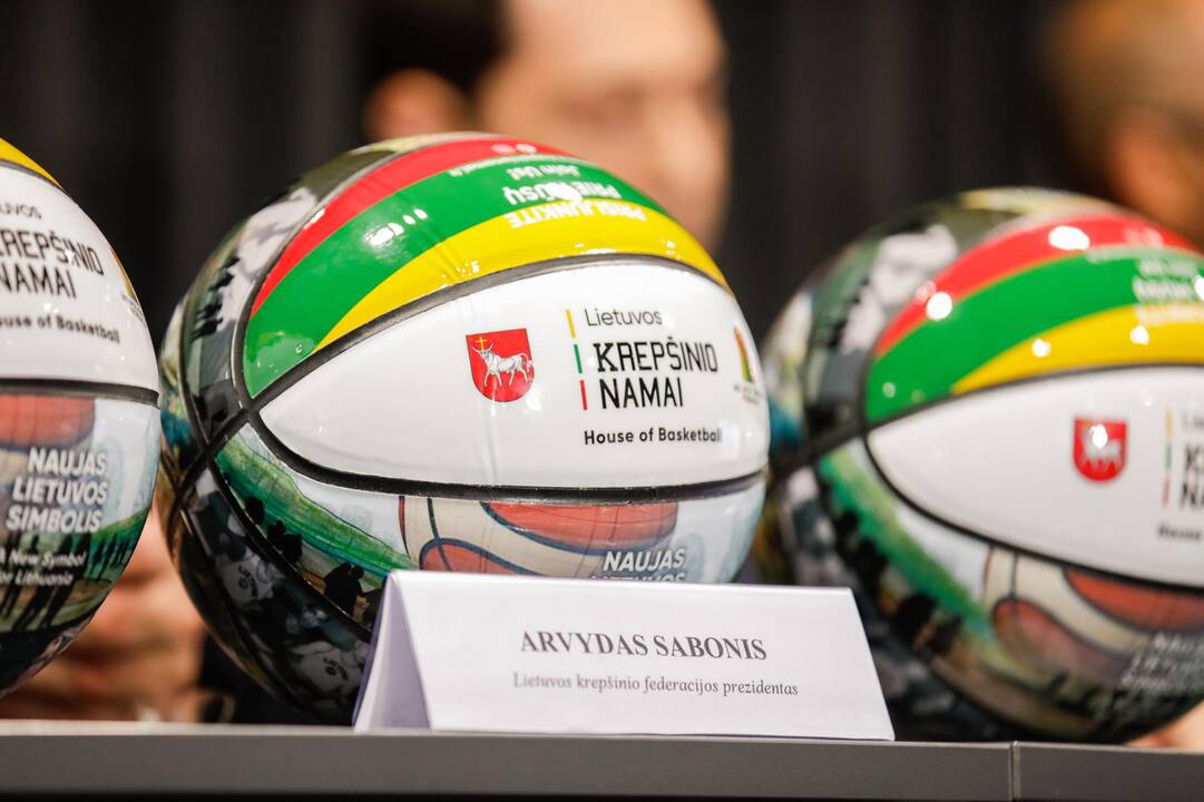 Krepšinio namų projekto pristatymas
