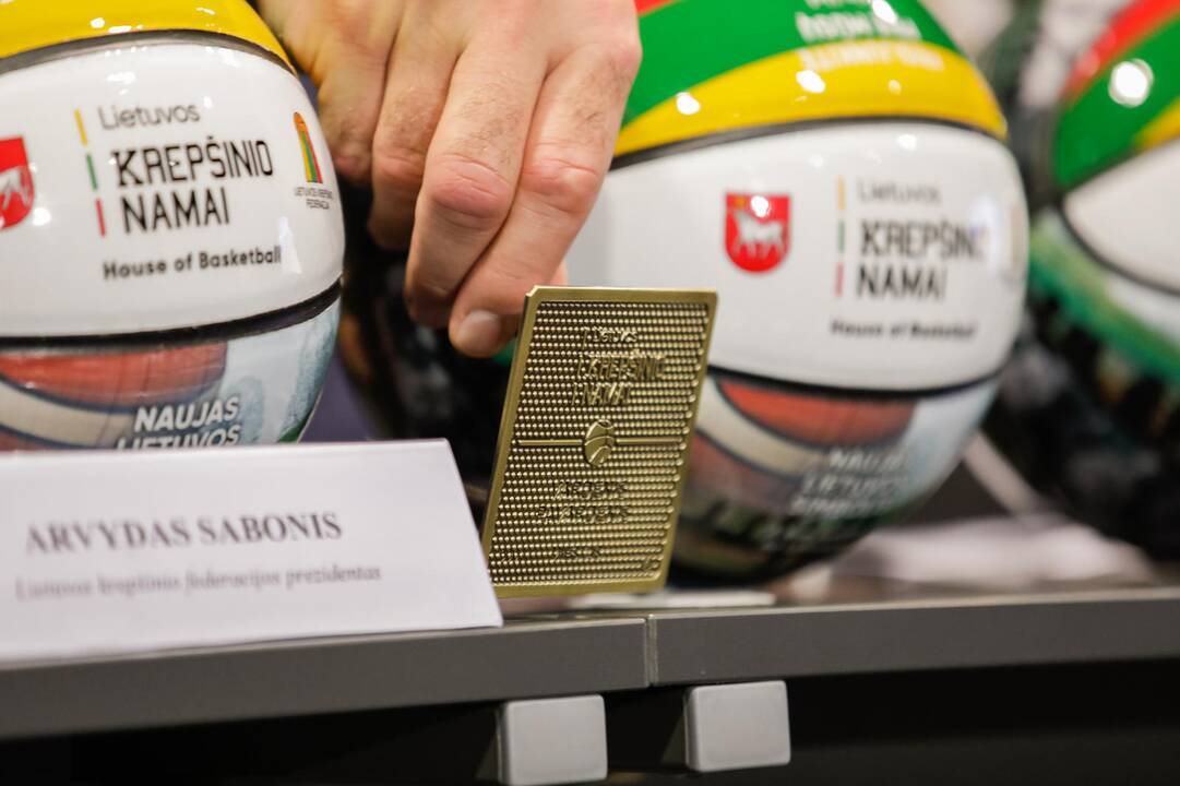 Krepšinio namų projekto pristatymas