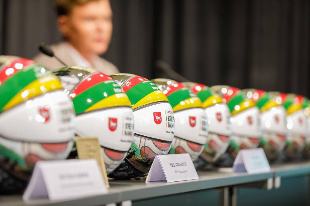 Krepšinio namų projekto pristatymas
