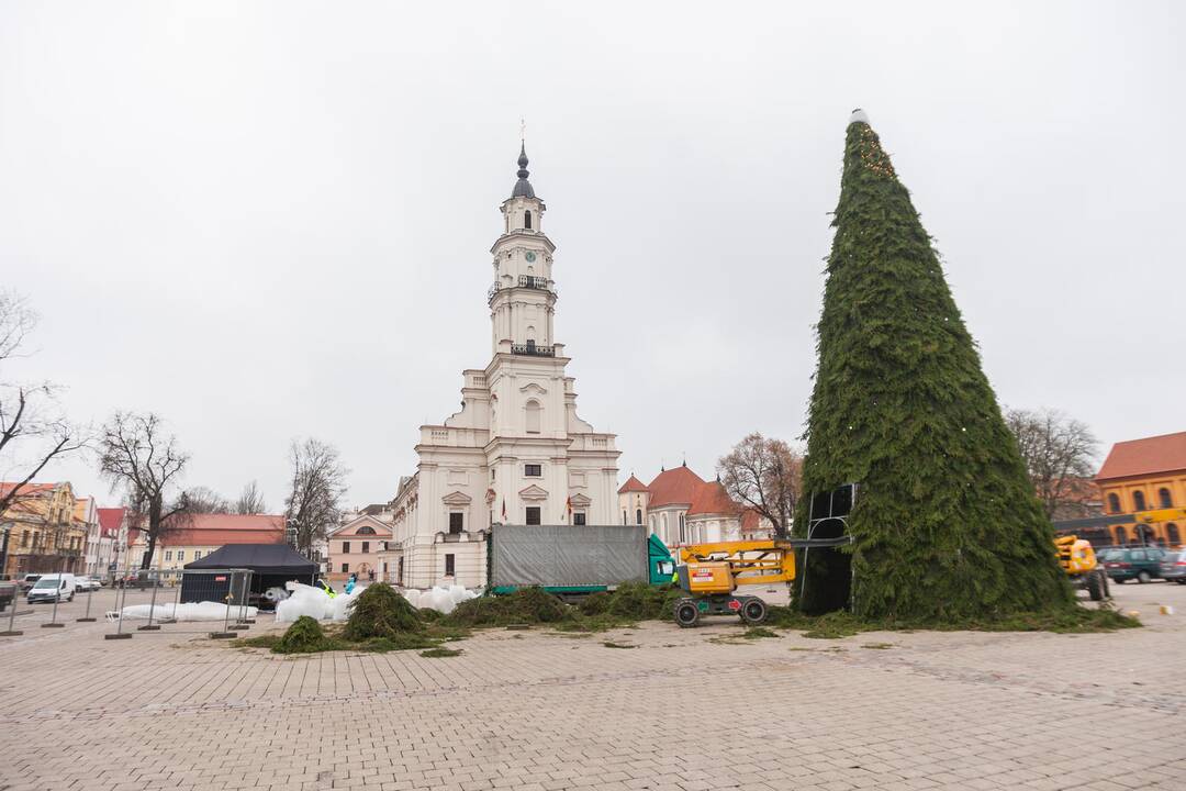 Kauno eglutės puošimas įgavo pagreitį
