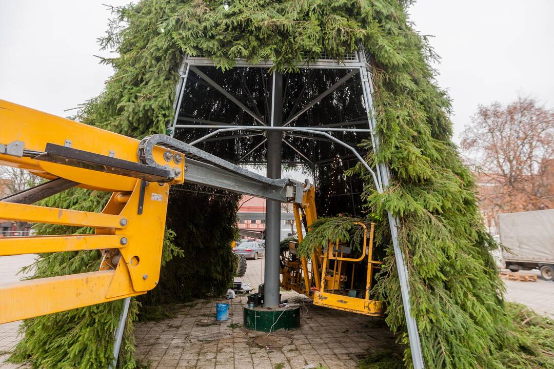 Kauno eglutės puošimas įgavo pagreitį