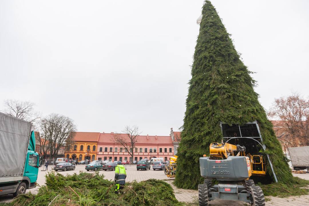 Kauno eglutės puošimas įgavo pagreitį