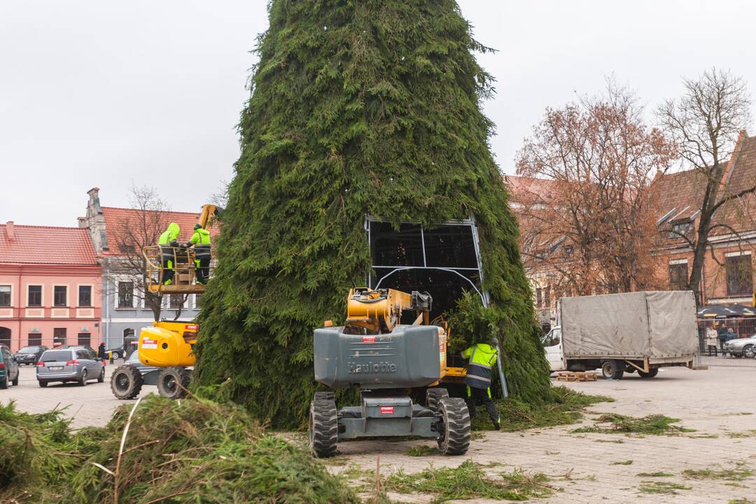 Kauno eglutės puošimas įgavo pagreitį