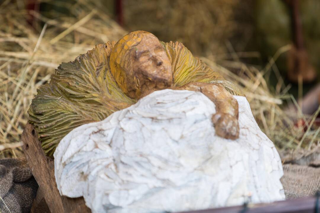 Prakartėlė laukia lankytojų