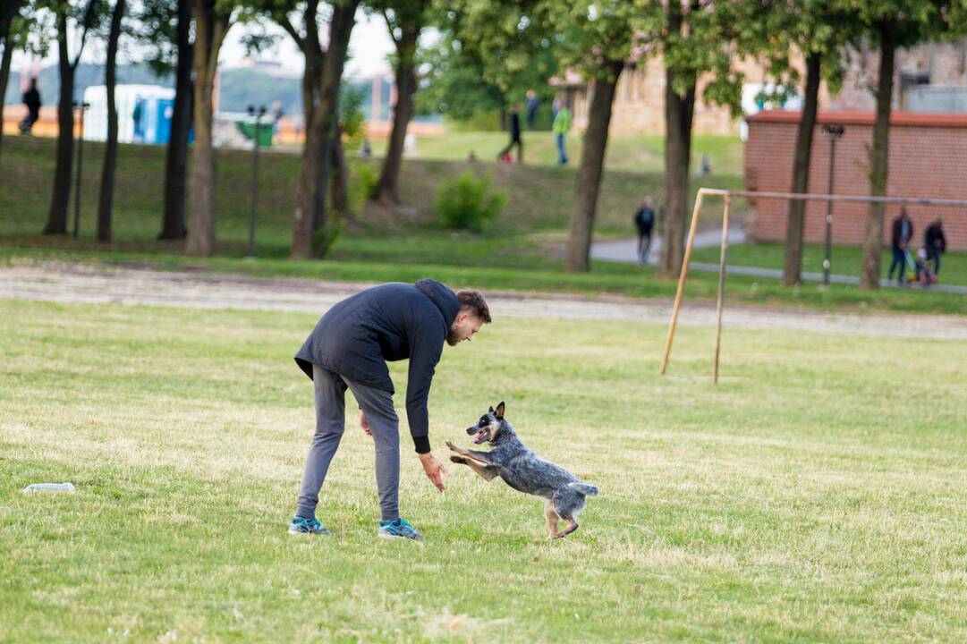 Kaune prasidėjo oro balionų šventė