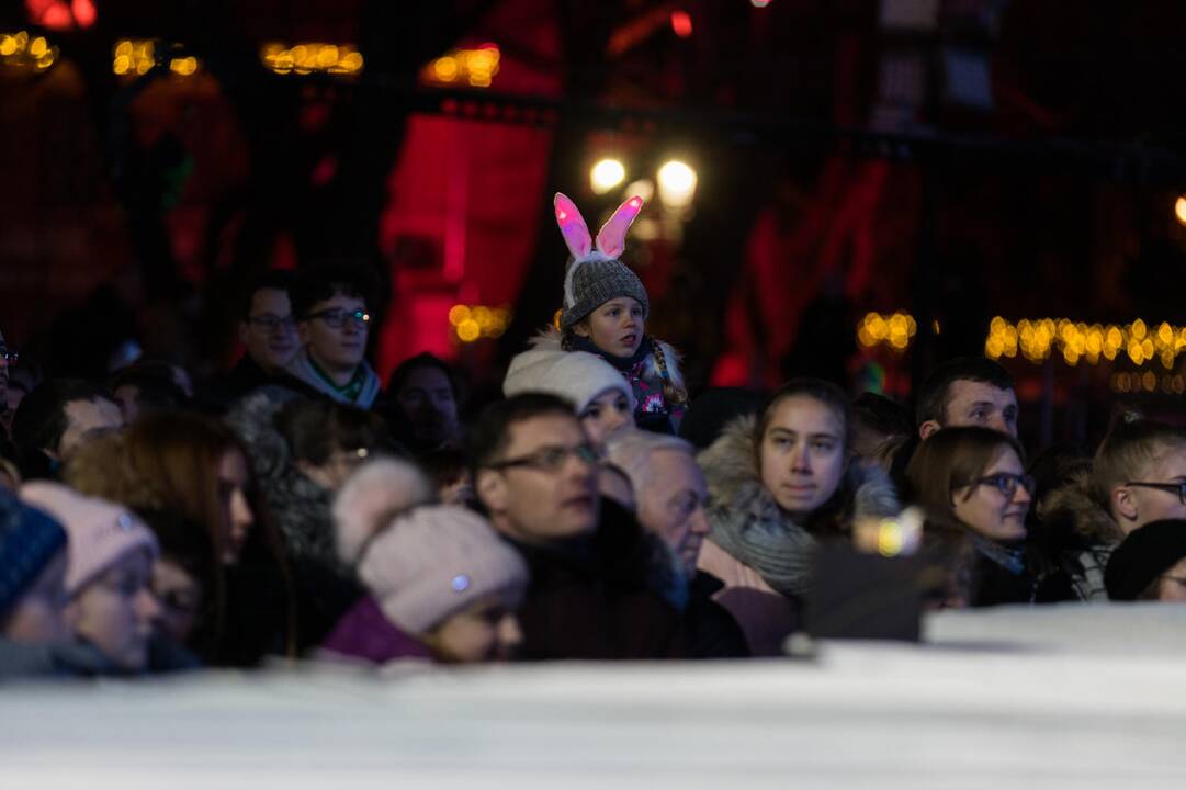 Rotušės aikštėje įžiebta Kosminė eglė