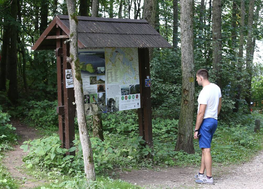 100 varpelių Lietuvai