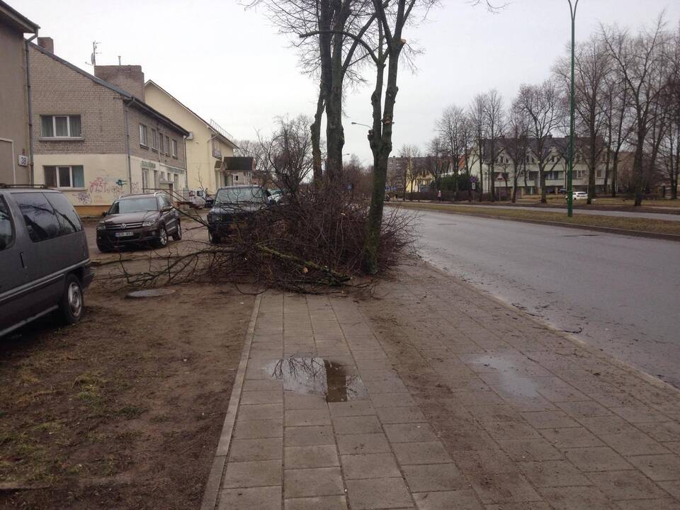 Įspėjimas vairuotojams: dėl stipraus vėjo ant kelio gali būti prikritusių medžių