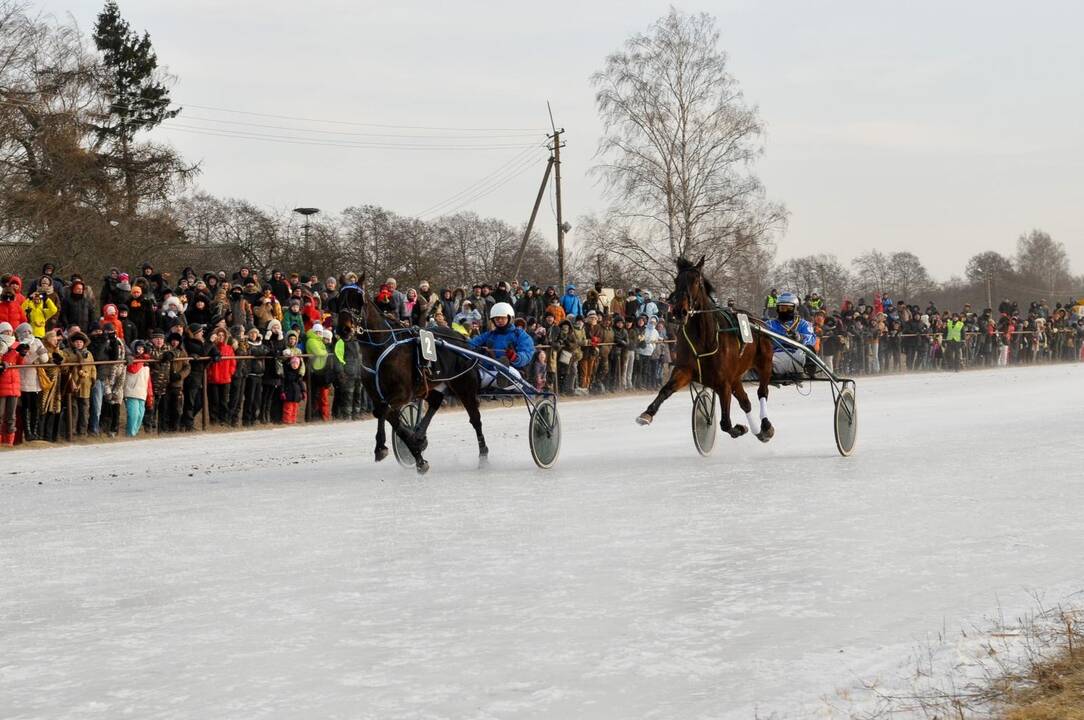 Žirgų lenktynėms "Sartai 2015" vėl teisėjaus A. Muntvydaitė