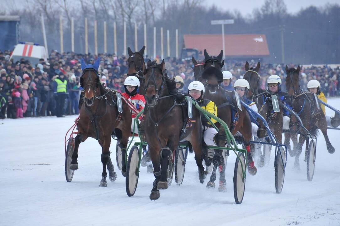 „Sartai 2015“ ledo taku skries 71 ristūnas