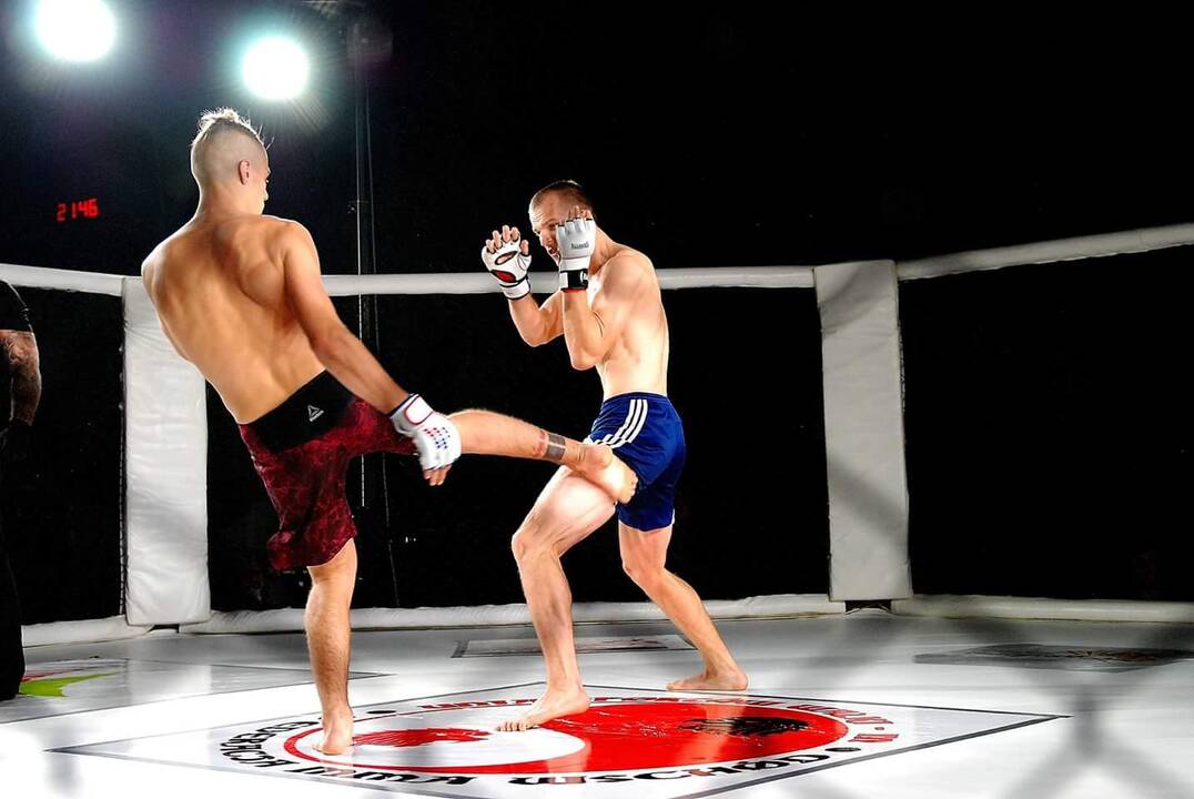 Technika: klaipėdiečio (dešinėje) smūgiai kojomis dvikovose varžovus varo į neviltį.