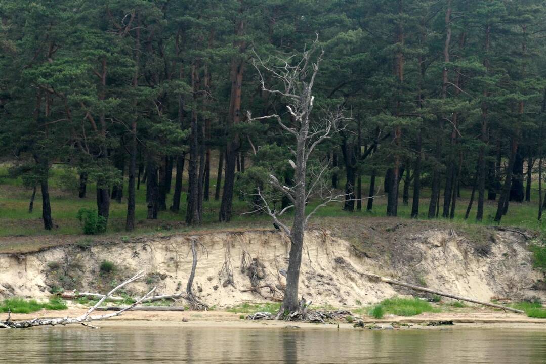 Savanoriai gamtos inspektoriai: norinčiųjų netrūksta, bet pasitaiko ir nesąžiningų