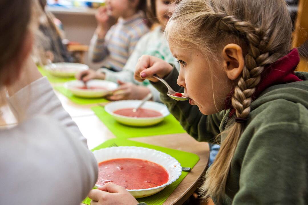 „Pontem“ laukia dešimtadaliu daugiau pajamų