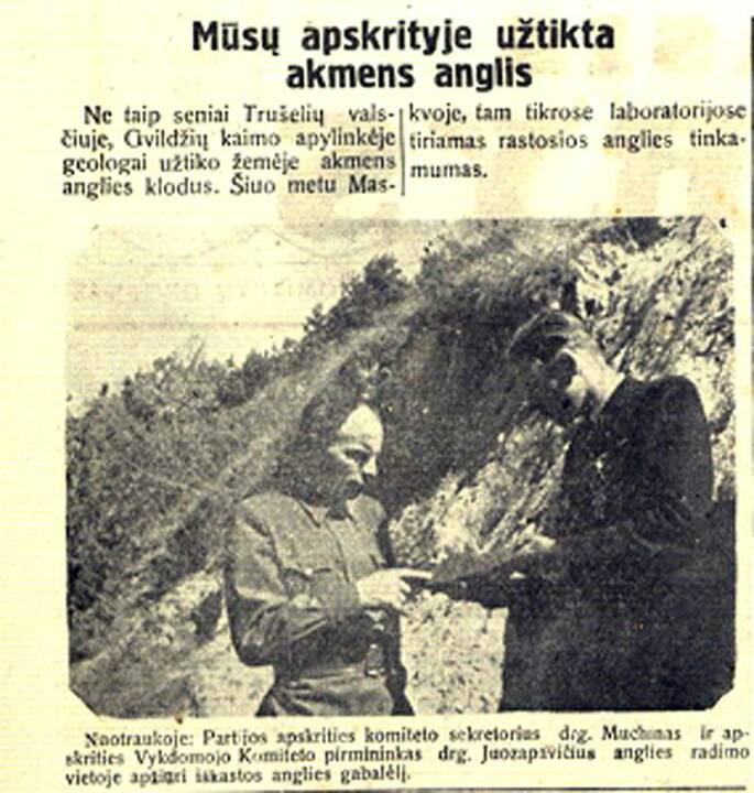 Turtai: Statistikos departamento duomenimis, parengtų naudoti Lietuvos gelmių gamtos išteklių vertė viršija 60 mlrd. litų.