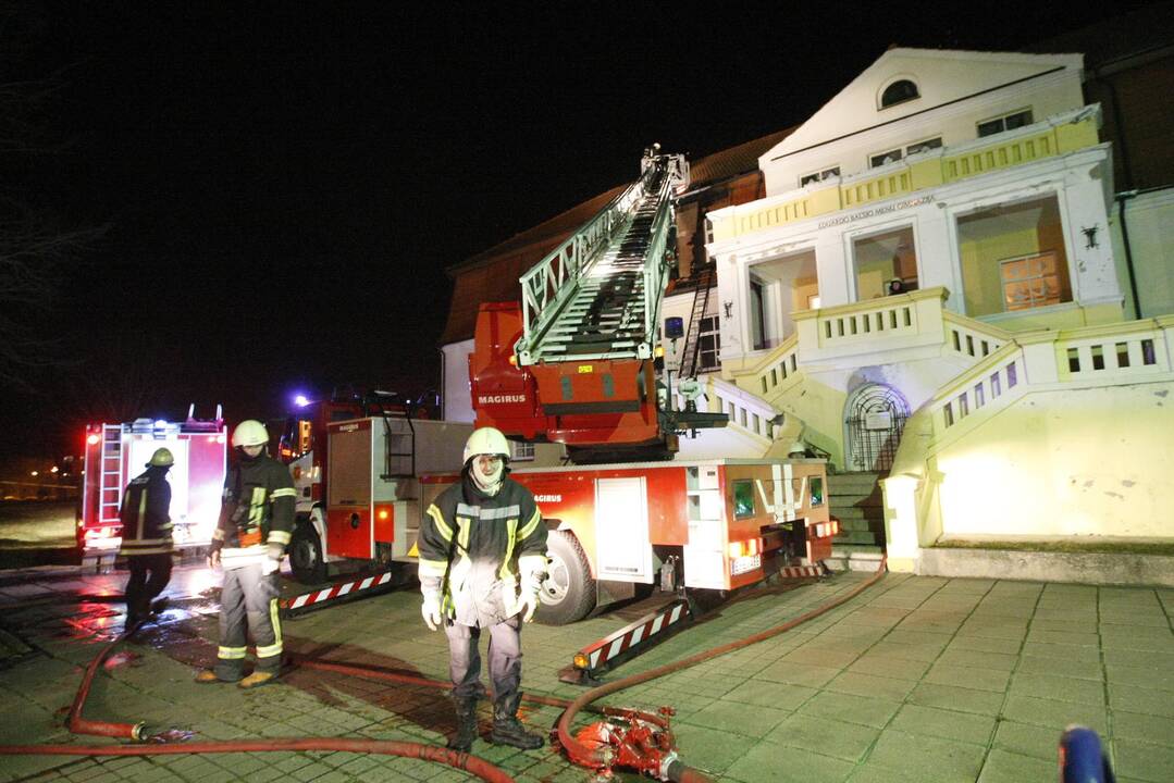 Naujametę naktį nuo gaisro nukentėjusiai menų gimnazijai siūloma surengti paramos koncertą.