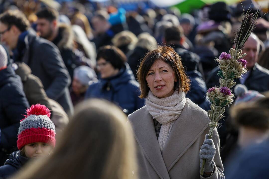 Laikas: šį savaitgalį nuo 8 iki 17 val. Kaziuko mugė vyks Klaipėdos senamiestyje – Turgaus, Sukilėlių ir Teatro gatvėse bei Teatro aikštėje.