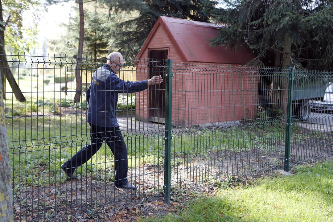 Žala: darželio "Volungėlė" ūkvedys įsitikino, kad paauglių išspardyta tvora griūna ją vos palietus pirštu.