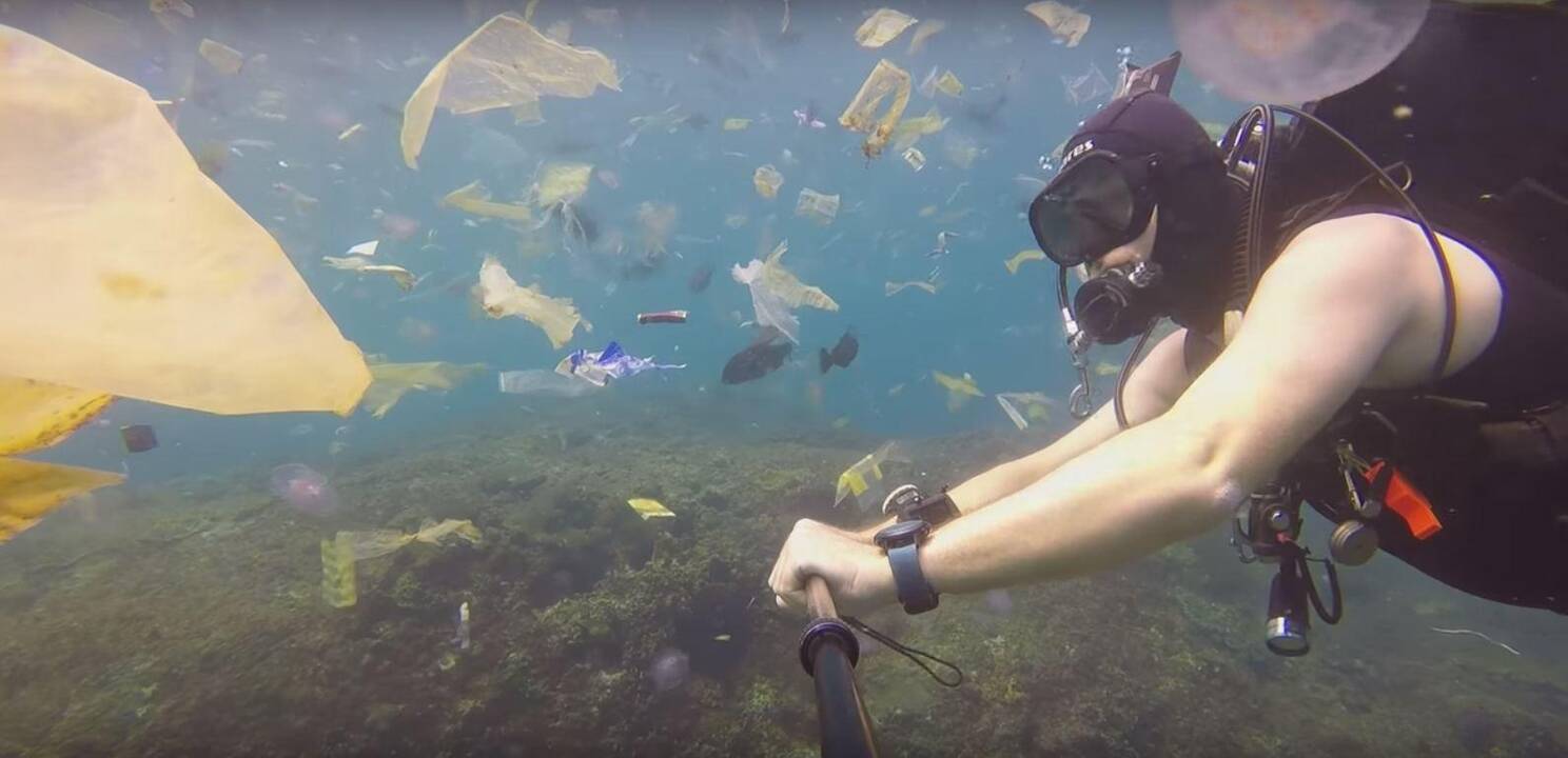 Kontrastai: Balio sala, pristatoma reklaminiuose bukletuose, ir tokia, kokia yra realybėje, skiriasi iš esmės.