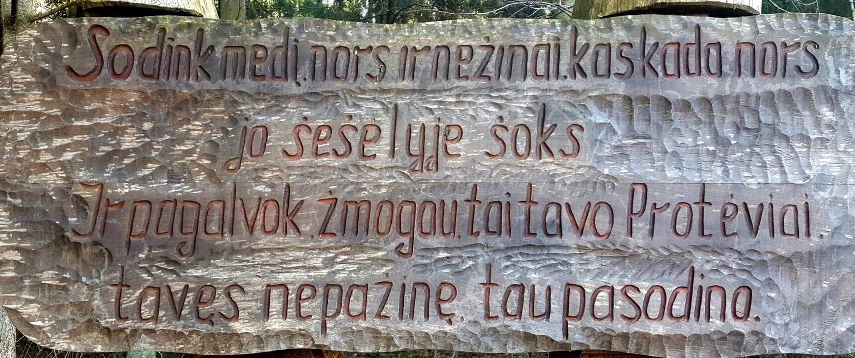 Darbas: kažkas pasistengė, kad miške rastume tokį tekstą.