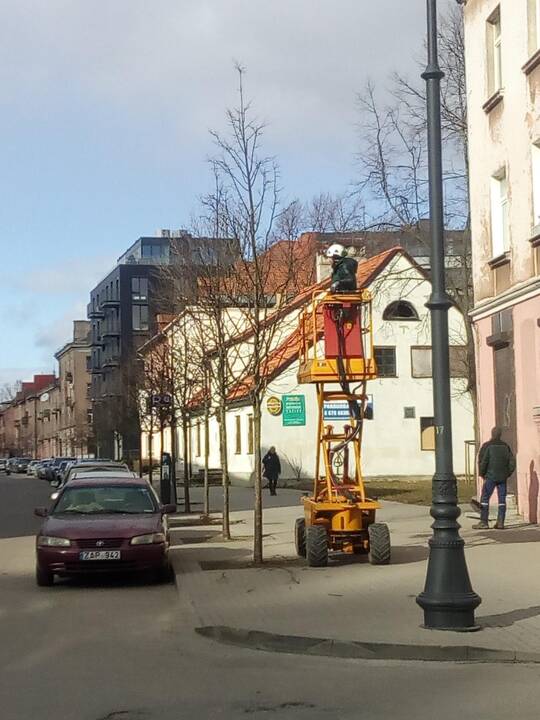 Darbai: uostamiestyje prasidėjo pavasariniai medžių genėjimo darbai.