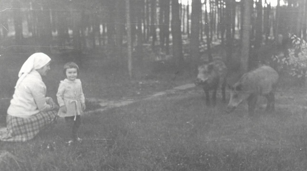 Laura Juchnevič