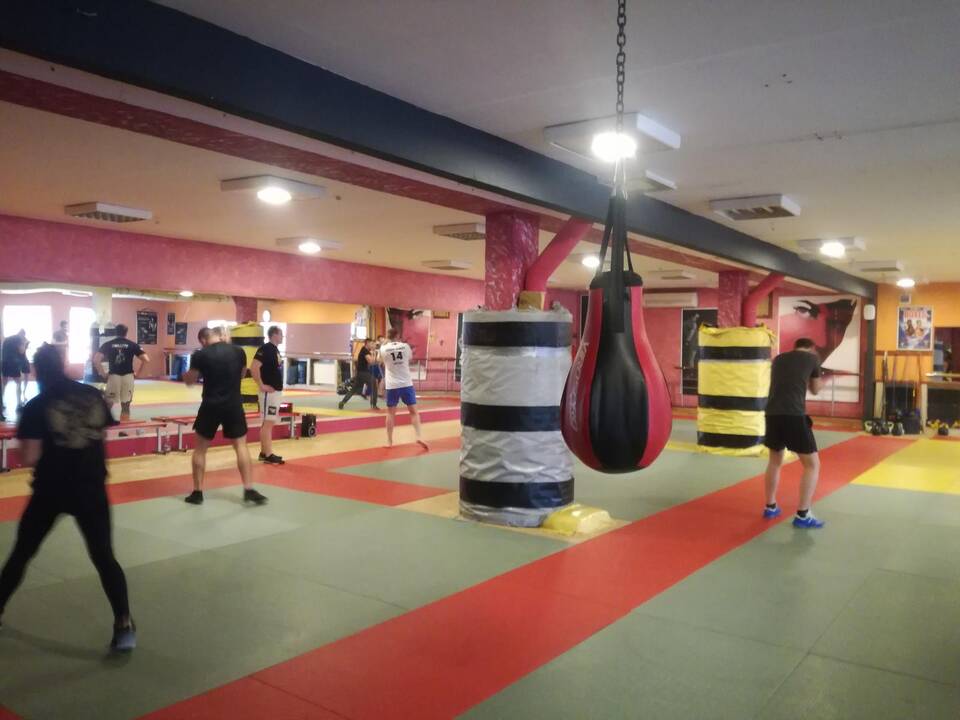 Technika: klaipėdiečio (dešinėje) smūgiai kojomis dvikovose varžovus varo į neviltį.