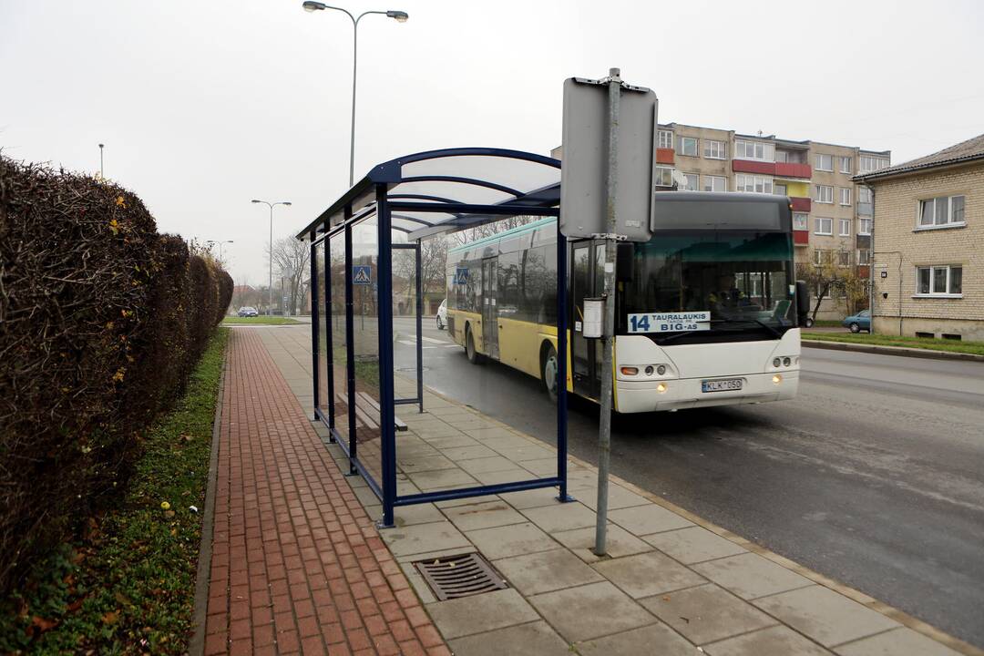 Uostamiesčio stotelėse – naujos pastogės