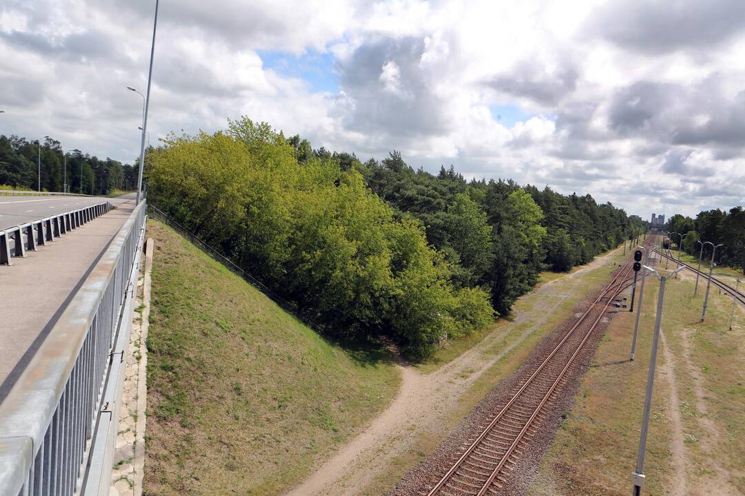 Poilsio parke – neaiškūs gyventojai
