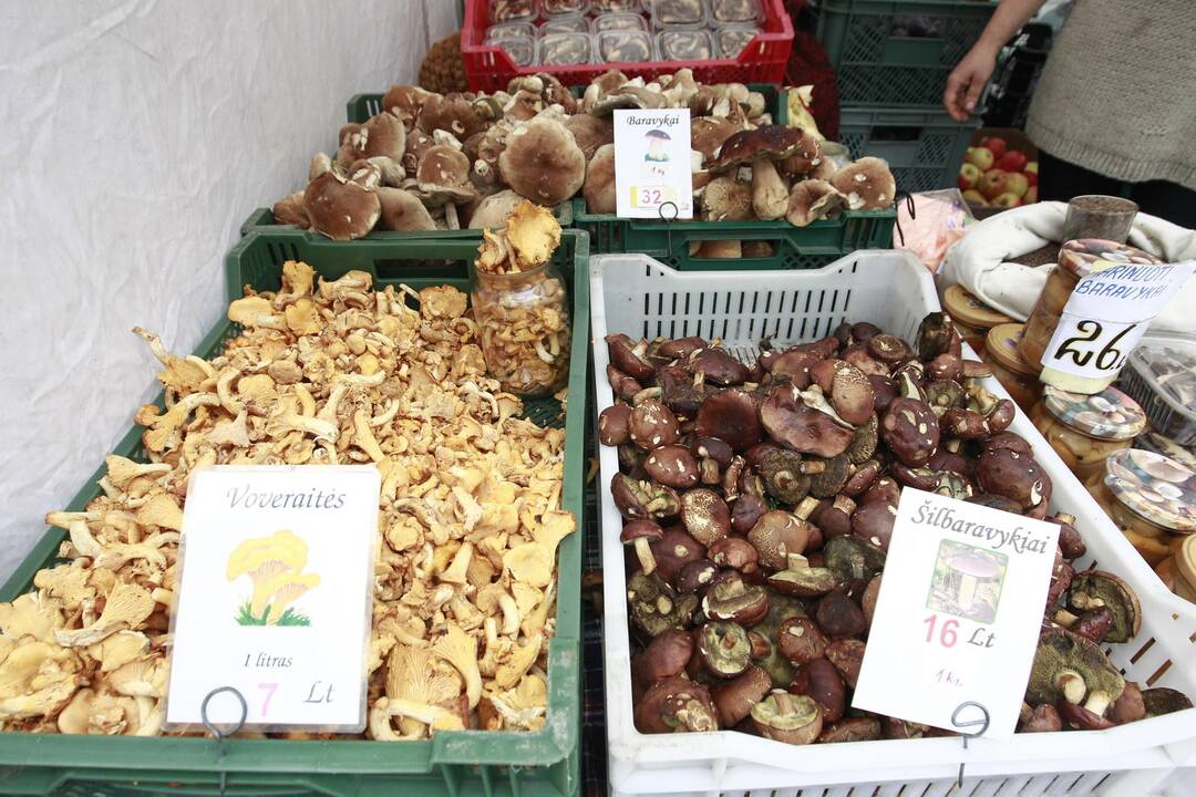 Tautų mugė: dešros grybai ir bernvakariai