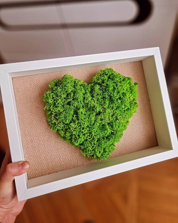 Tikslas: V. Tulevičiūtė nori savo floristinėmis kompozicijomis į kiekvienus namus atnešti dalelytę gamtos, kuri padėtų nusiraminti, susikaupti.