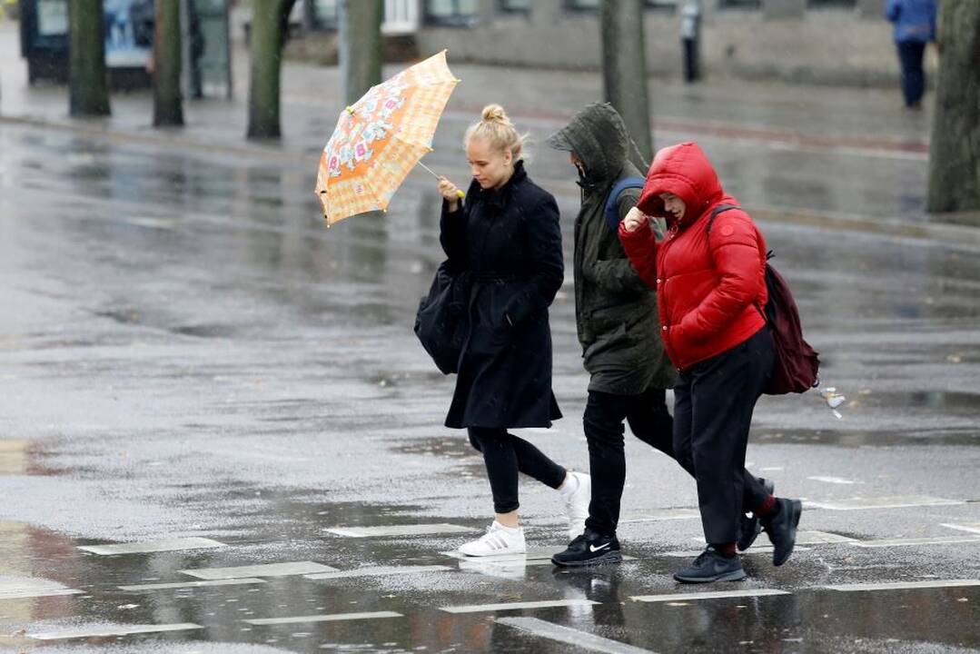 Naujausios sinoptikų prognozės: ateis tikras ruduo 