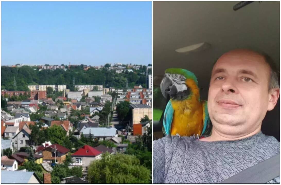 Kaunietis teisybės ieško teisme