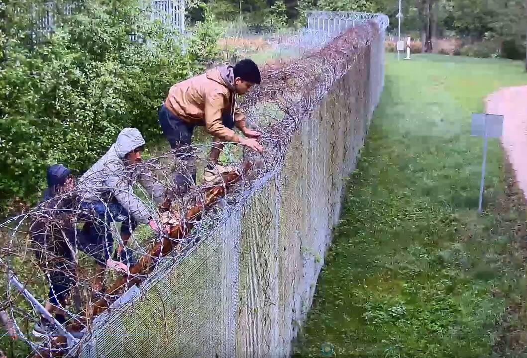 Lietuvos pasienyje su Baltarusija apgręžta 20 neteisėtų migrantų