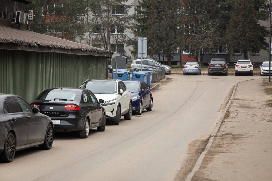 Problemos P. Lukšio gatvėje 