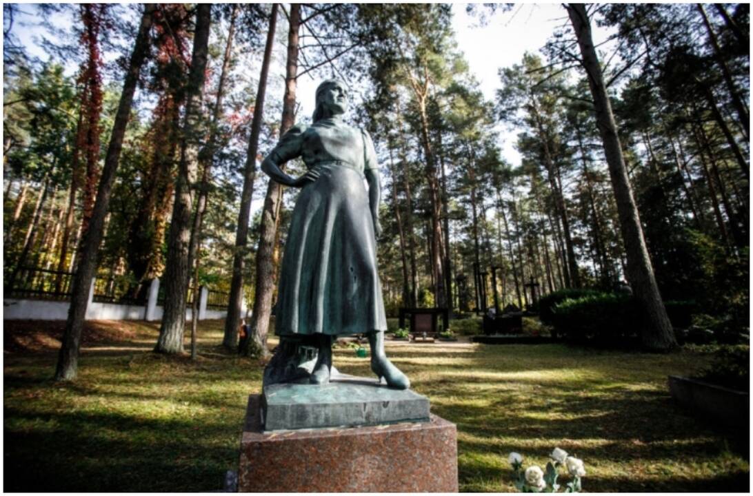 Klaipėda vėl spręs dėl Nėries ir Giros gatvių pervadinimo