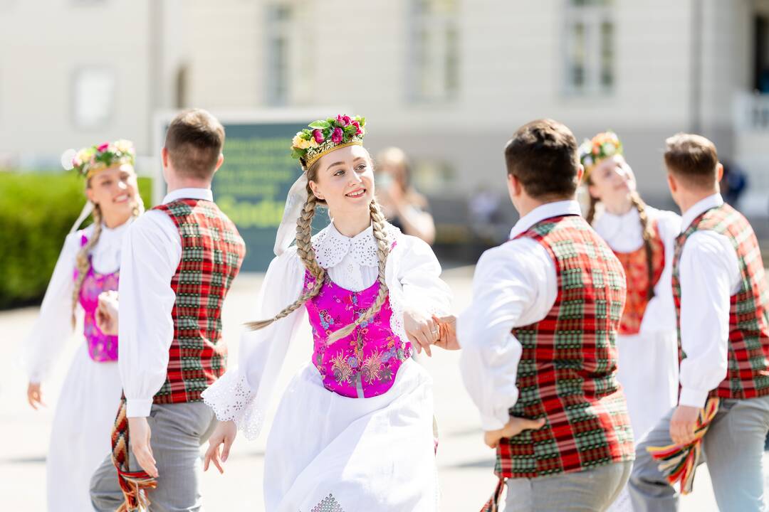 Lietuvos dainų šventės šimtmečiui skirtos menininko Ray Bartkaus instaliacijos „Sodai“ pristatymas