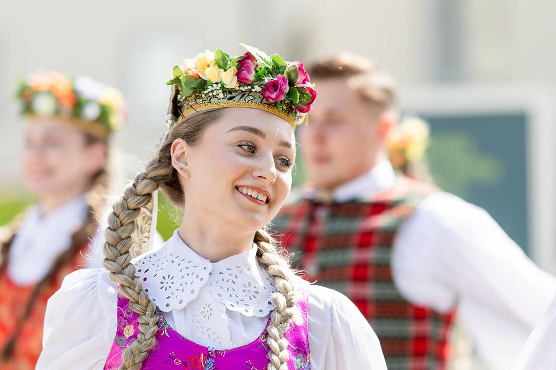Lietuvos dainų šventės šimtmečiui skirtos menininko Ray Bartkaus instaliacijos „Sodai“ pristatymas