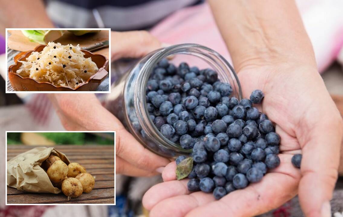 Nauda mūsų žarnyno bakterijoms ir imuninei sistemai: kokį supermaistą rinktis?