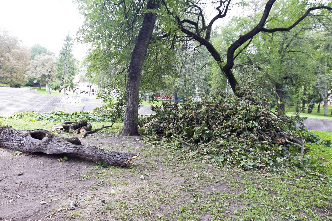Po škvalo Reformatų parkas tvarkomas tik dabar