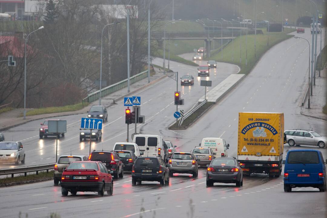 Europos Parlamentas spręs dėl ekologiškų automobilių