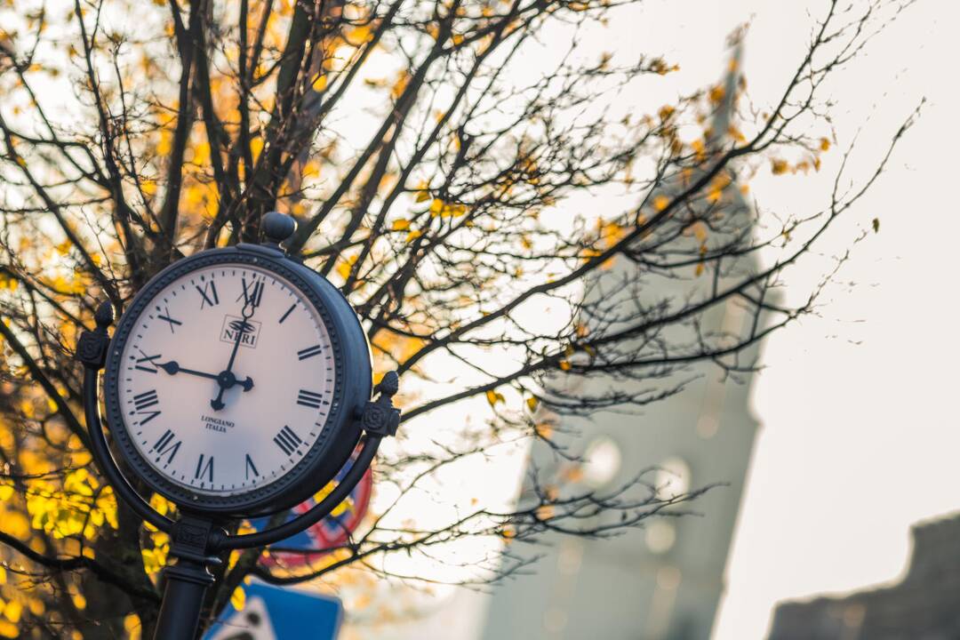 Ar taršą Vilniuje galėjo sukelti deginami lapai?