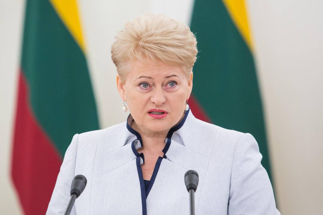 Prezidentė ragina politikus nekomentuoti tyrimo dėl VSD informacijos paviešinimo