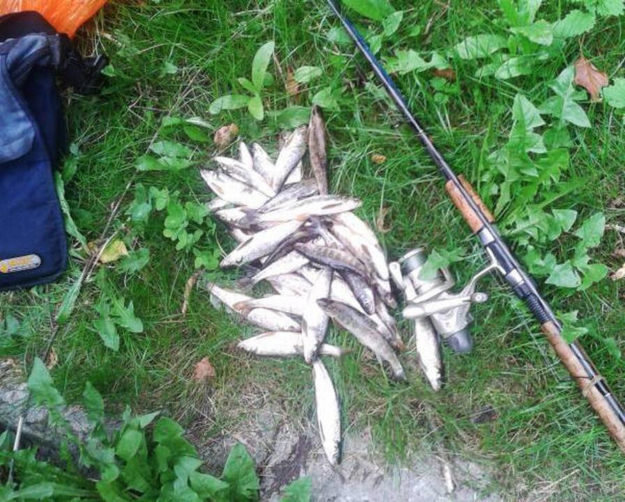 72 tūkst. litų – tiek brakonieriui kainuos sugautos žuvys