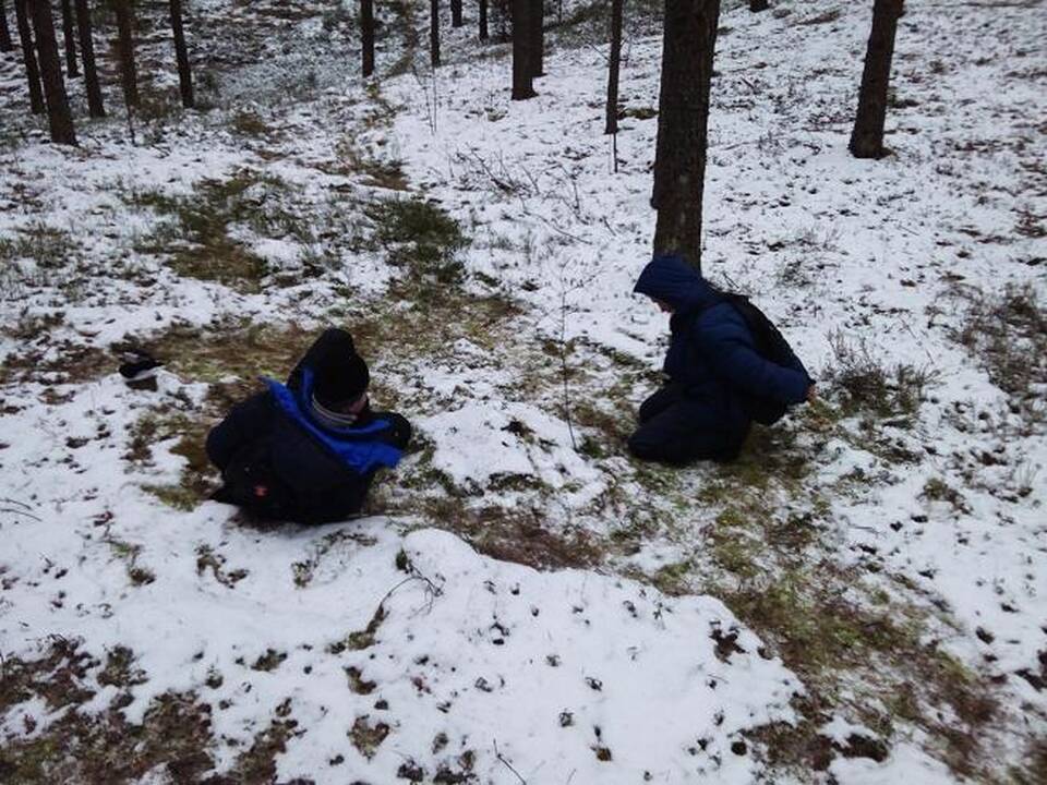 Sieną pažeidusius rusus prisivijo vokiečių aviganė